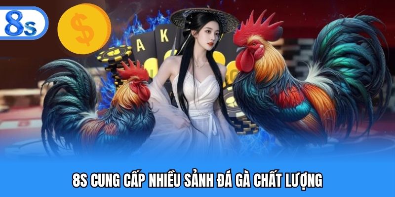 8S cung cấp nhiều sảnh đá gà chất lượng