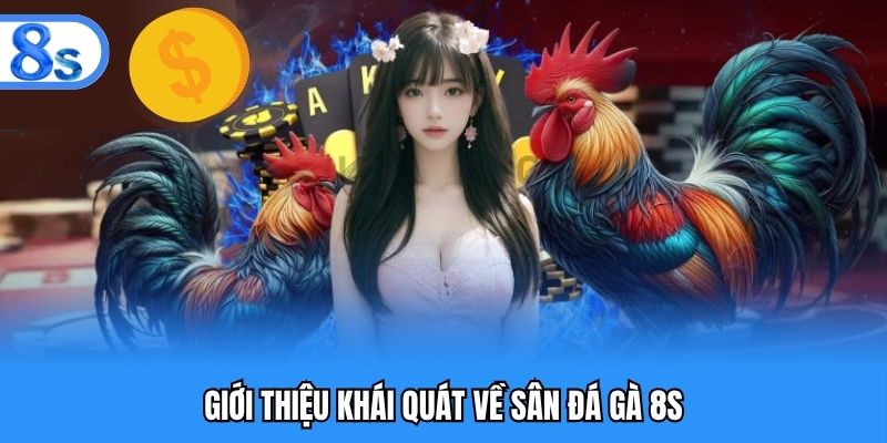 Giới thiệu khái quát về sân đá gà 8S